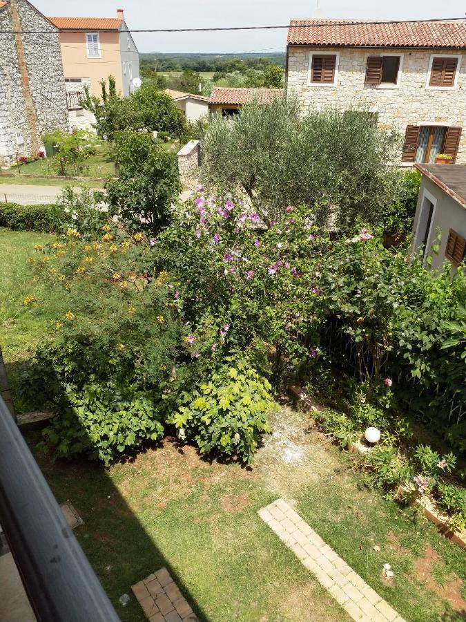 Petrovija Happy Home מראה חיצוני תמונה