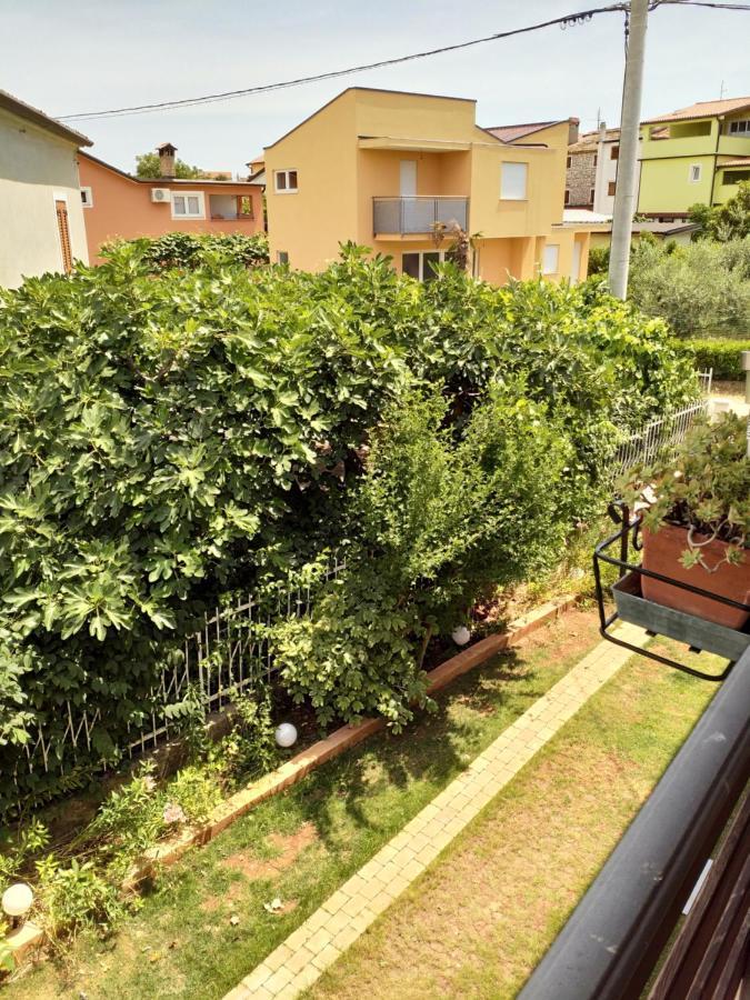 Petrovija Happy Home מראה חיצוני תמונה